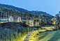 mooool-LOCUS-ASSOCIATES-Sanya-Forest-Wetland-Park2