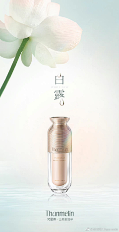 Z邹雨晨采集到节日海报