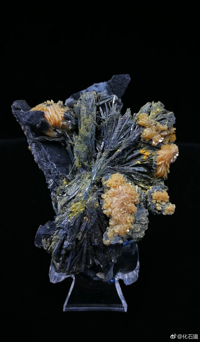 产自湖南冷水江（锡矿山）的辉锑矿共生锑华（金色花状矿物，由辉锑矿氧化形成），大自然的鬼斧神工，先捏出一朵银色的花，再洒上几朵金色的花。 2淮安 ...