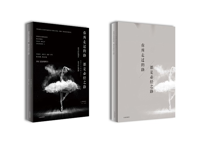 封面设计平面设计出版书籍装帧双封护封内封...