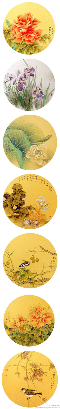 杨小序采集到画画