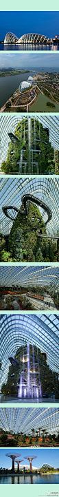 2012世界建筑节开奖：头奖得主“温室”，新加坡，设计WEA。