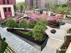 _TellMeWHATToDo采集到街头绿地、道路