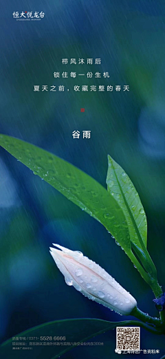丶嘿!这是我的萝卜采集到节节节节不日