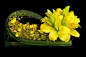 各种收集的花艺图片 软装方案必备——兰花篇350张 ..._MT-BBS|马蹄网-04d61bac1a94efdfa026eb46d917404d.jpg