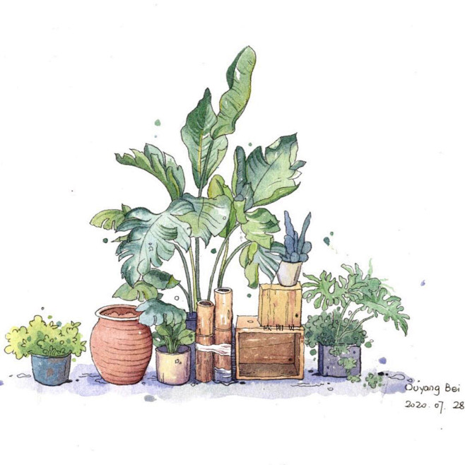 钢笔淡彩 植物小景_1_欧阳贝_来自小红...