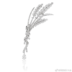 呼啦梦游采集到麦穗