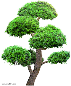 哐当一声采集到山、草地、和植物