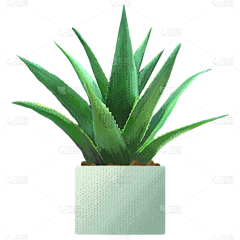 智慧女孩不秃头y采集到插画-植物