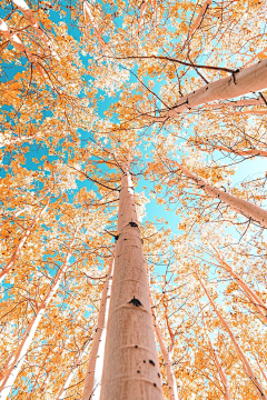 月一太马采集到场景--03照片