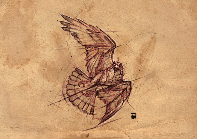falcon, psdelux ... ...