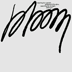 -DINGNI采集到Typography】