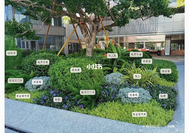 植物配置分享~