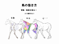 如何画骏马？超详细精品教程来教你，从骨骼位置到肌肉线条，细致剖析。先上教程上半部，下半部一会更新哦。 #绘画学习# ​​​​