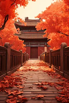 故宫秋色红墙紫禁城插画