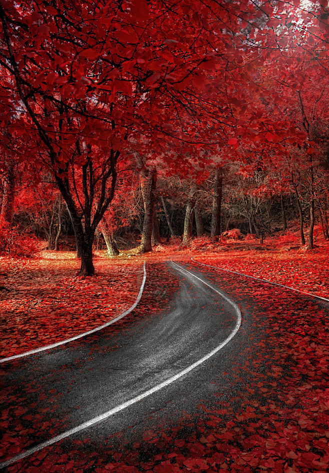 红色的秋天 #美景#