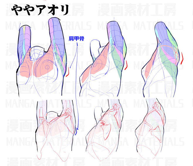 {线稿系列}角色线稿设计，五官，人体，动...