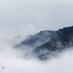 Designloveing采集到背景   /   风景    /     大图