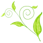 绿色叶子PNG图标