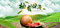 蔬菜,水果海报,banner,背景,,,,图库,png图片,花瓣网,图片素材,背景素材,42757@北坤人素材