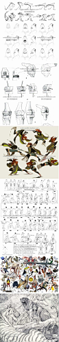 【强推】2.8万张卡通动画设计参考 角色场景动物人物特效运动规律-淘宝网