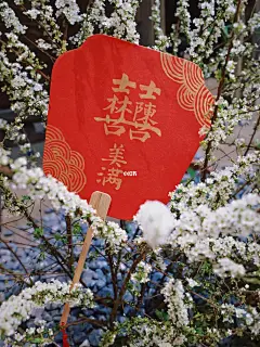朋友说！就冲这把喜扇想再结一次婚？！
