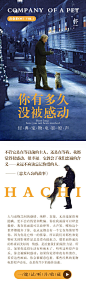 来自相册