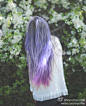 阳光下的紫发