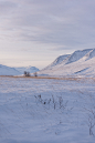 Snowy Landscapes (22)