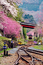 Location：日本，渡良濑川溪谷铁道，足尾线
