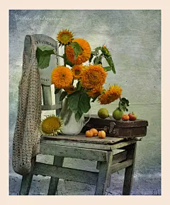 Svetlana Andriyanov静物花卉摄影