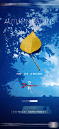 【源文件下载】 海报 房地产 立秋 二十四节气 落叶 秋叶 142616
