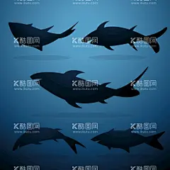 鲨鱼剪影  - 源文件下载【酷图网】鲨鱼剪影,卡通鲨鱼素材,鲨鱼,海报素材,可爱,鲨鱼素材,图片,卡通鲨鱼,插画,插图,素材,元素,矢量,卡通,手绘,手绘鲨鱼,标志,logo,简约,图案,图标,鲨鱼插画,儿童绘本,矢量鲨鱼,动物,卡通动物,小鲨鱼,简笔画,形象,趣味,印花,海洋生物,剪影,跳水,游泳,轮廓,大鲨鱼,大白鲨,蓝鲨,蓝色