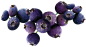 蓝莓#水果#植物素材