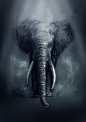 Elephant by ~Delun on deviantART