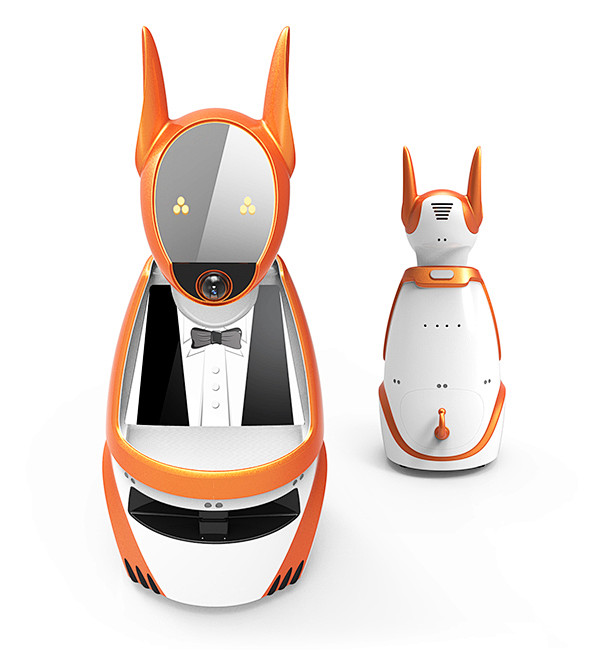 Kangaroo Robot on In...
