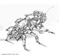 dipo-muh-roach-bike