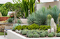 Architectural By Nature - Australia’s premier grower ofadvanced cacti and xeriscape plants. : Architectural by Nature are leaders in the growing and supply of xeriscape plants to the Australian Landscape Industry.