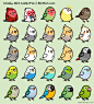 Custom Chubby Bird Sticker Package by Birdhism on Etsy - birds collage