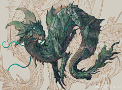 一颗小草芽采集到龙