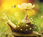 Create A Surreal Snail With A Grassy Shell In Photoshop