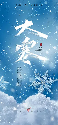 二十四节气大寒海报