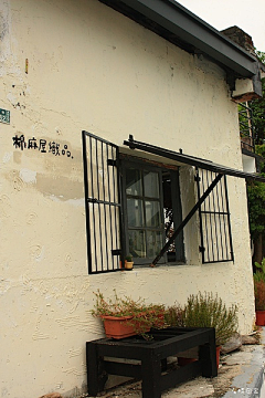 Xiujinling采集到柚果手工