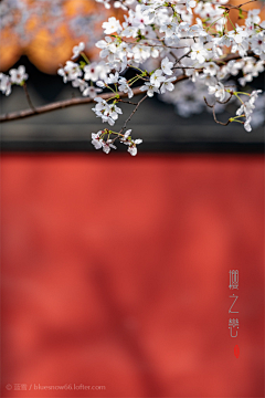 月光的幻想采集到桃花源记 | 芳草鲜美 落英缤纷