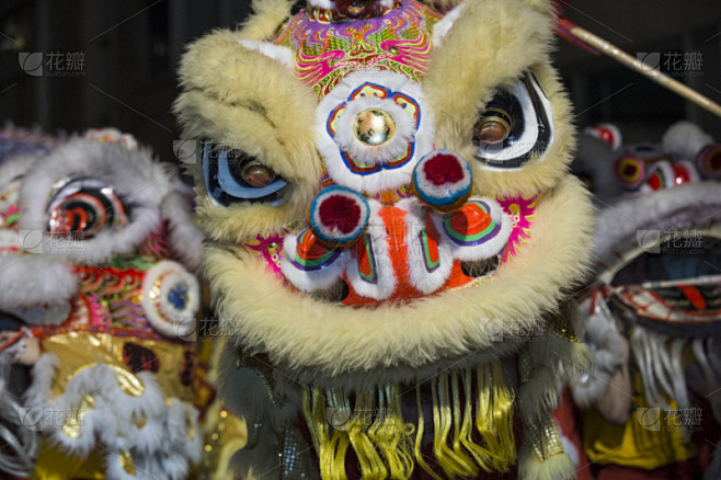 动物头,特写,,狮子舞蹈,水平画幅,夜晚,动物身体部位,黄昏,户外,春节