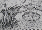 ostriches  的插画 树屋之三