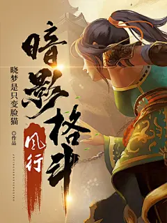 暗影格斗：风行