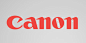 【Canon】
“Canon”的名字来源于他们的第一台相机“Kwanon”（即“观音”之意）。1935年公司决定改名为“Canon”，这比起“Kwanon”更容易被不同的地区和文化所接受。
