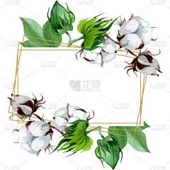 白棉花植物花。野生春叶野花。水彩背景插图集。水彩画时尚水瓶座。框架边框水晶装饰广场.