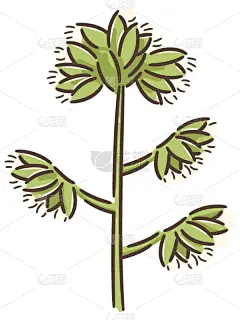 果园,草,鸭茅,猫,接力赛,圣伯纳犬,动物足,小公鸡,可爱的,健康保健